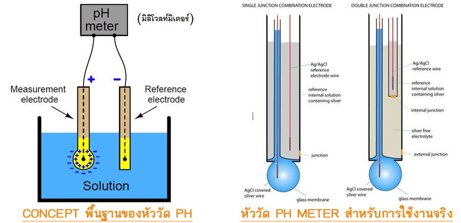 มาตรฐานสำหรับการวัดค่า pH