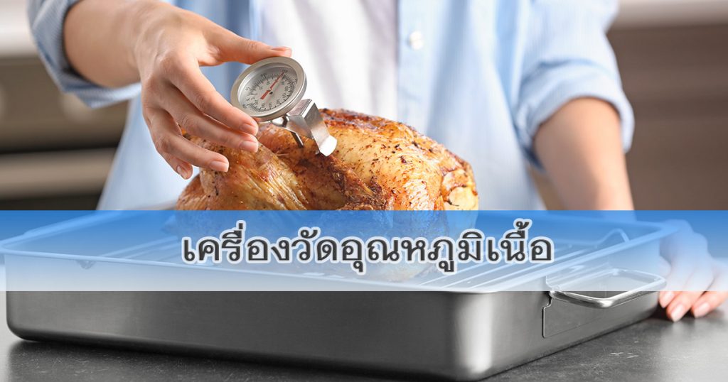 เครื่องวัดอุณหภูมิเนื้อ