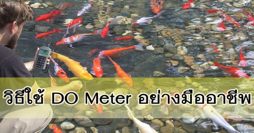 DO meter วิธีใช้