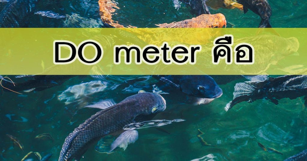 do meter คือ