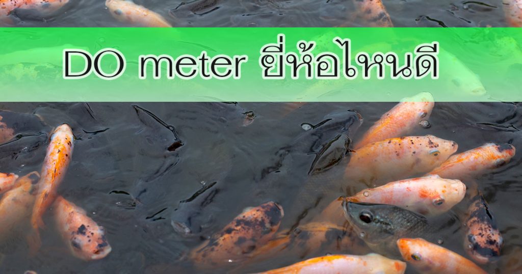 DO meter ยี่ห้อไหนดี