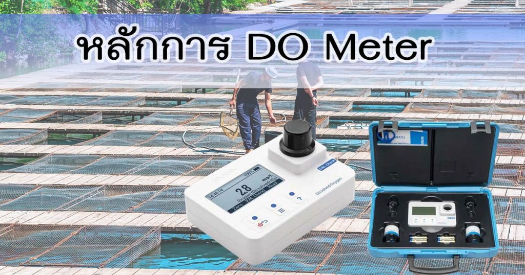 do meter หลักการ